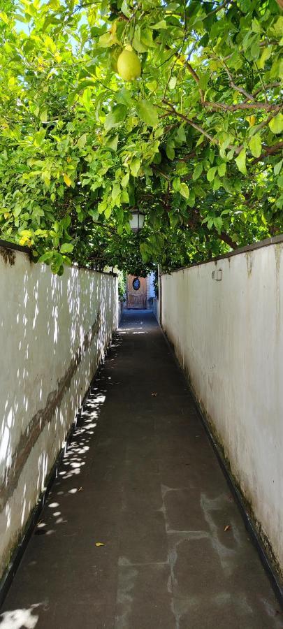 Casa Teresinella Garden Apartment Torre Annunziata Bagian luar foto